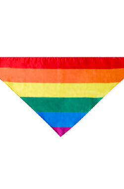 Rainbow Halstuch Faralax