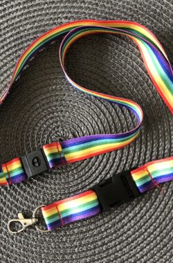 Rainbow-Schlüsselband Lanyard